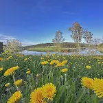 Seeblick - Tiny Nr 8 Neunburg vorm Wald
