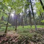 Seeblick - Tiny Nr 8 Dağ evi Neunburg vorm Wald