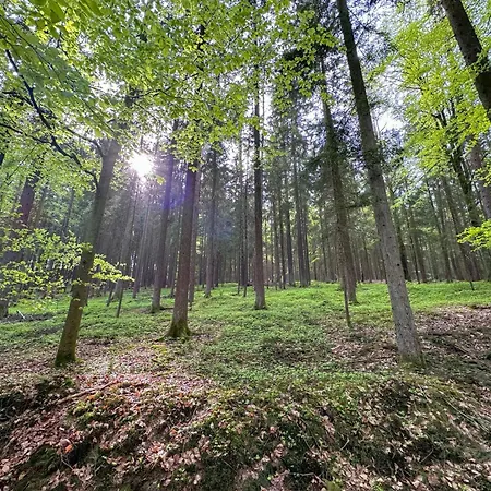 Seeblick - Tiny Nr 8 Chalet Neunburg vorm Wald
