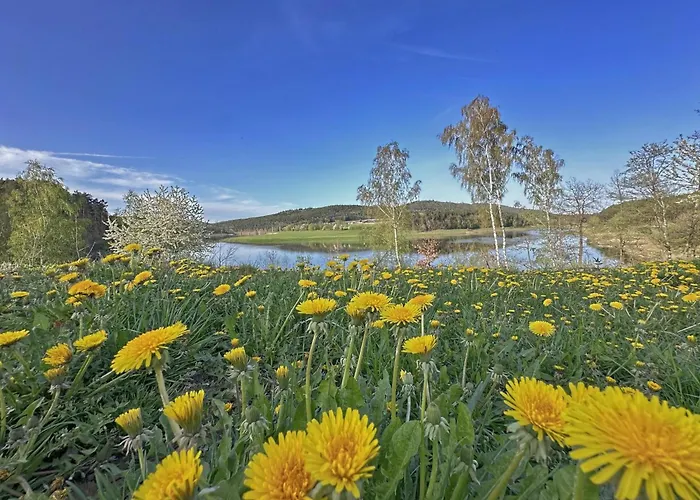 Seeblick - Tiny Nr 8 Neunburg vorm Wald