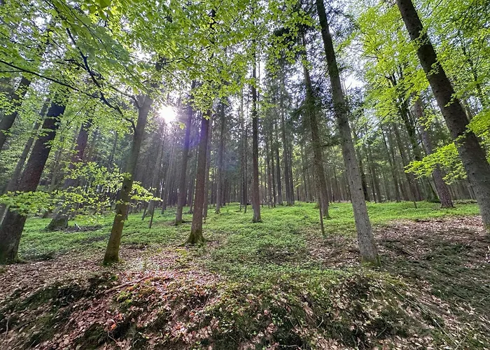 Seeblick - Tiny Nr 8 Domek alpejski Neunburg vorm Wald
